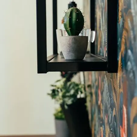 Loft Centro 2 Ματζέντα